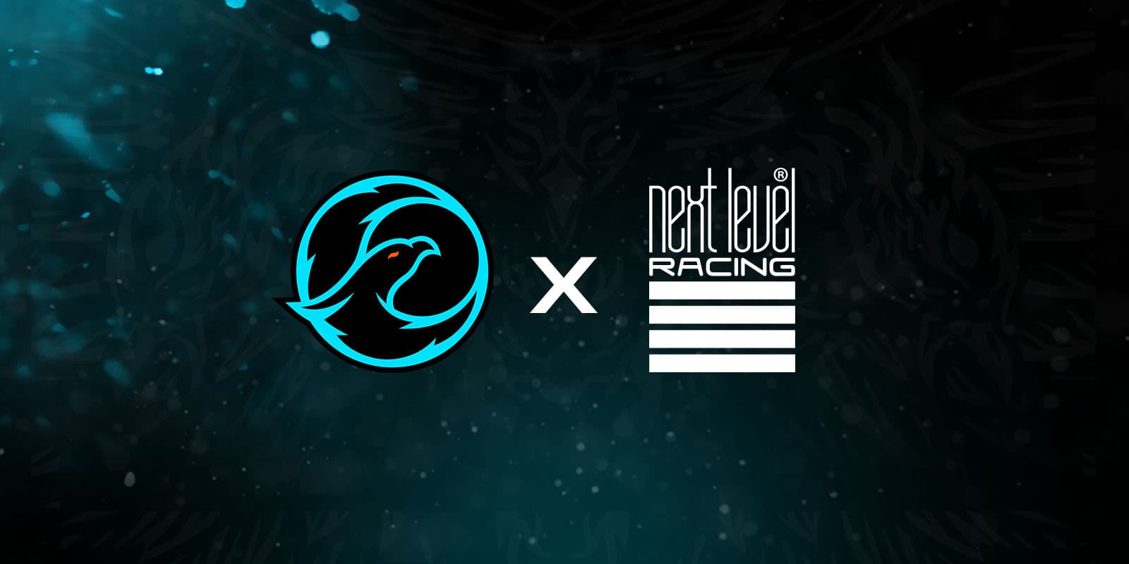 Charlotte Phoenix Blog Post 2