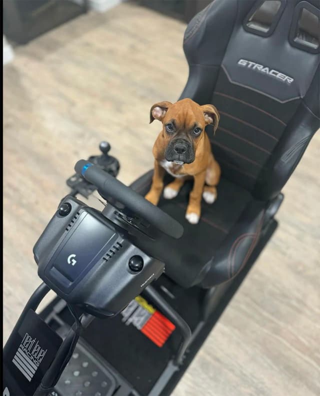 Gtracer Customer Photo3