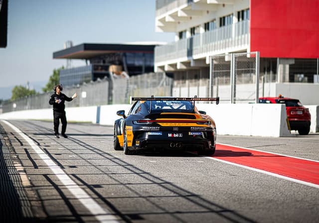 Gustav Burton Gallery 6